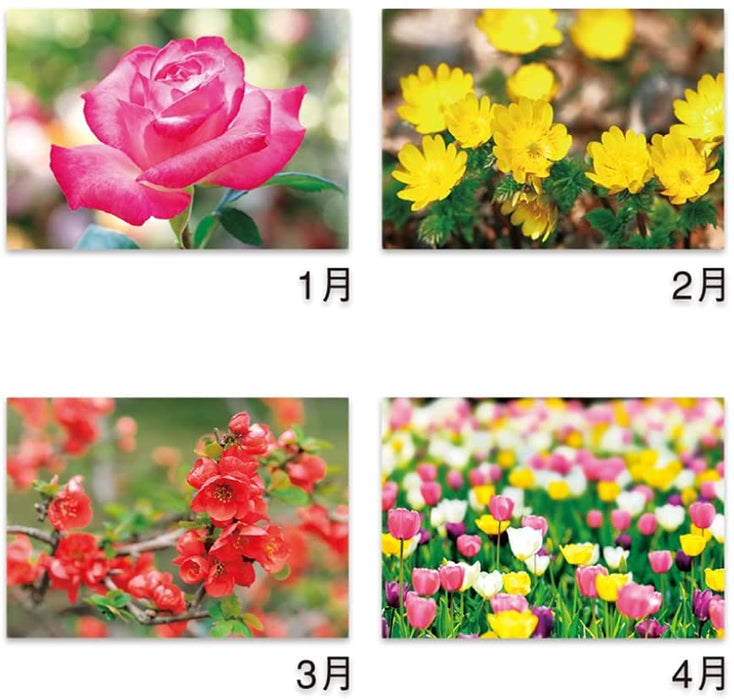 New Japan Calendar 2022 Wall Calendar Flower Language NK139