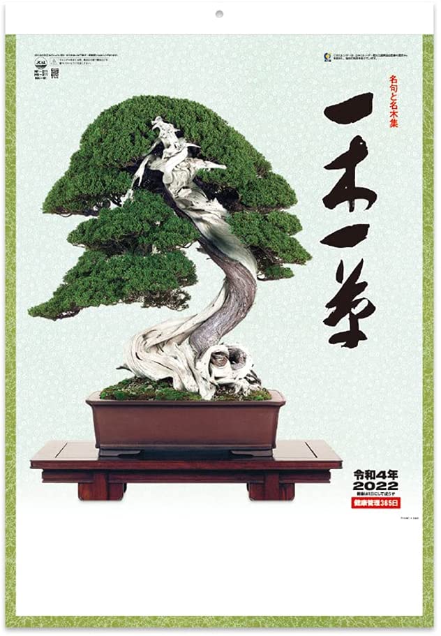 New Japan Calendar 2022 Wall Calendar Ichiboku Isso NK91
