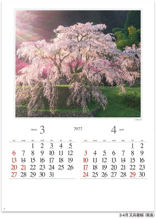 New Japan Calendar 2022 Wall Calendar The Beautiful Morning in Japan NK115