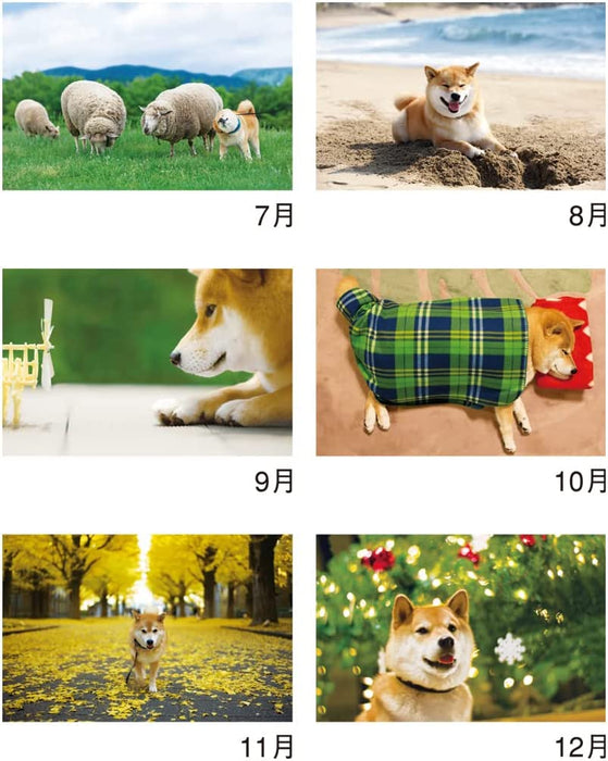 New Japan Calendar 2023 Wall Calendar Walk with Shiba Inu Maru Calendar NK35