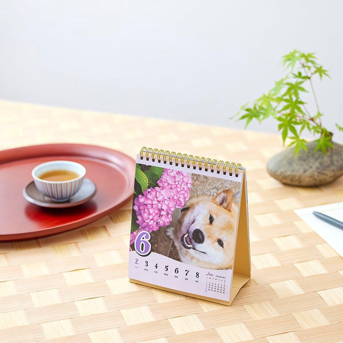 New Japan Calendar 2024 Desk Calendar Shiba Inu Maru's Chatter Weekly Flip NK4308