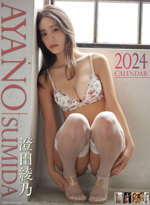 Try-X Ayano Sumida 2024 Wall Calendar CL-243 B2