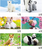 New Japan Calendar 2023 Wall Calendar Animals NK104
