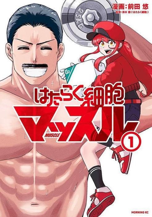 Cells at Work! (Hataraku Saibou) Muscle 1