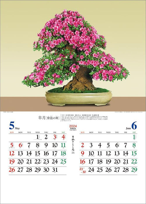 Todan 2024 Wall Calendar Japanese Heart Bonsai CL24-1073