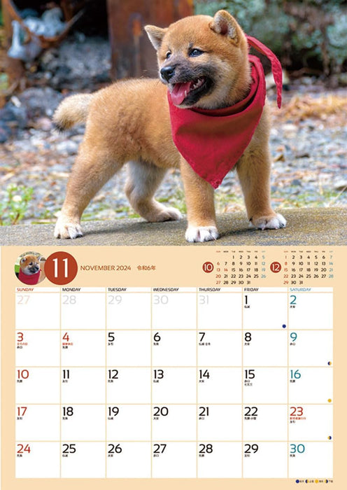 Try-X 2024 Wall Calendar Korokoro Mameshiba CL-381 51x36cm