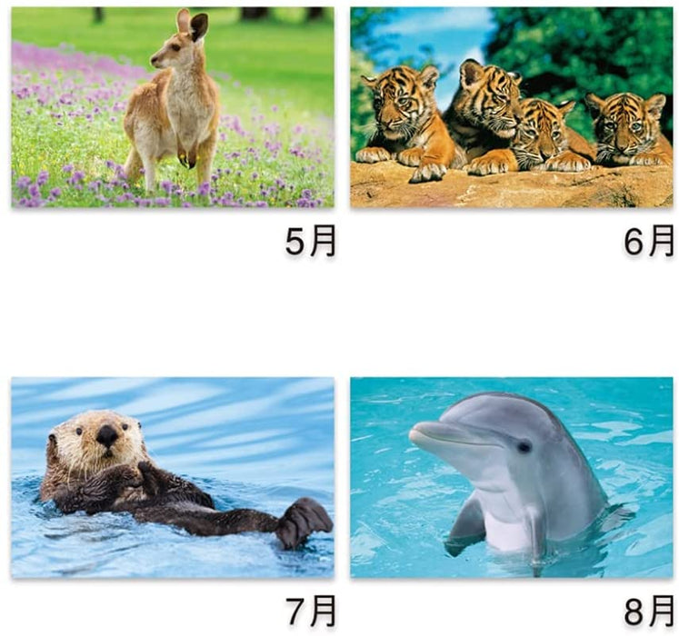 New Japan Calendar 2022 Wall Calendar Animals NK104