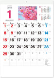 New Japan Calendar 2023 Wall Calendar Flower Language NK139
