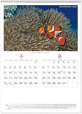 New Japan Calendar 2023 Wall Calendar Relaxation Blue NK32