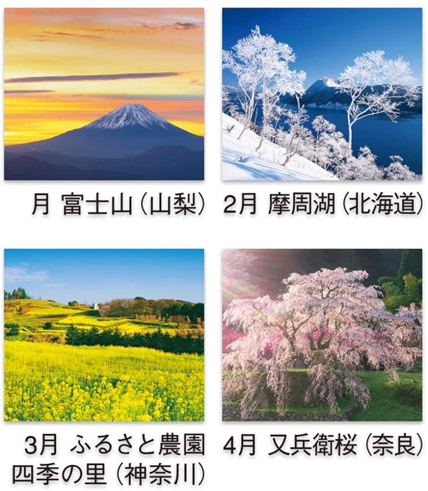 New Japan Calendar 2022 Wall Calendar The Beautiful Morning in Japan NK137