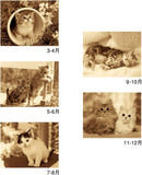 New Japan Calendar 2024 Wall Calendar Hello Cats NK27