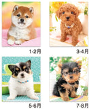 New Japan Calendar 2022 Wall Calendar Friendly Dogs NK24