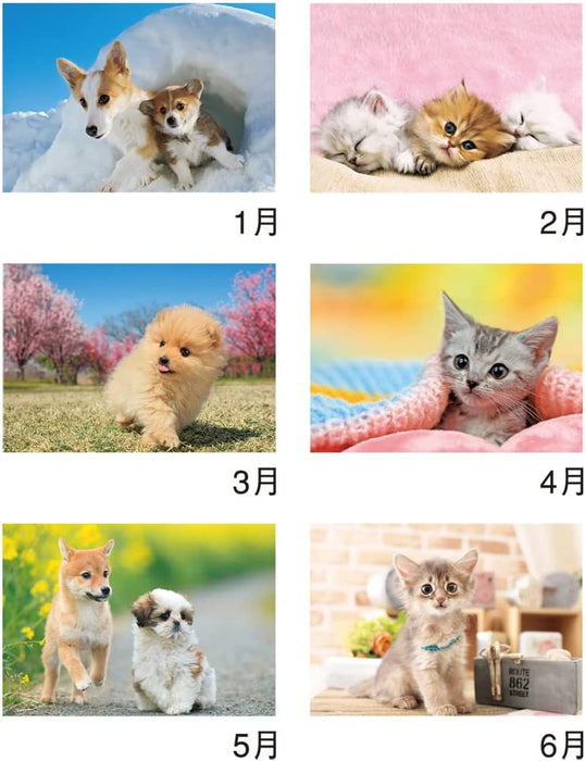 New Japan Calendar 2023 Wall Calendar Little Friends NK90