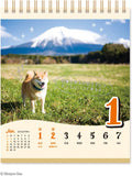 New Japan Calendar 2023 Shiba Inu Maru no Oshaberi Page-A-Week Calendar NK8958-5