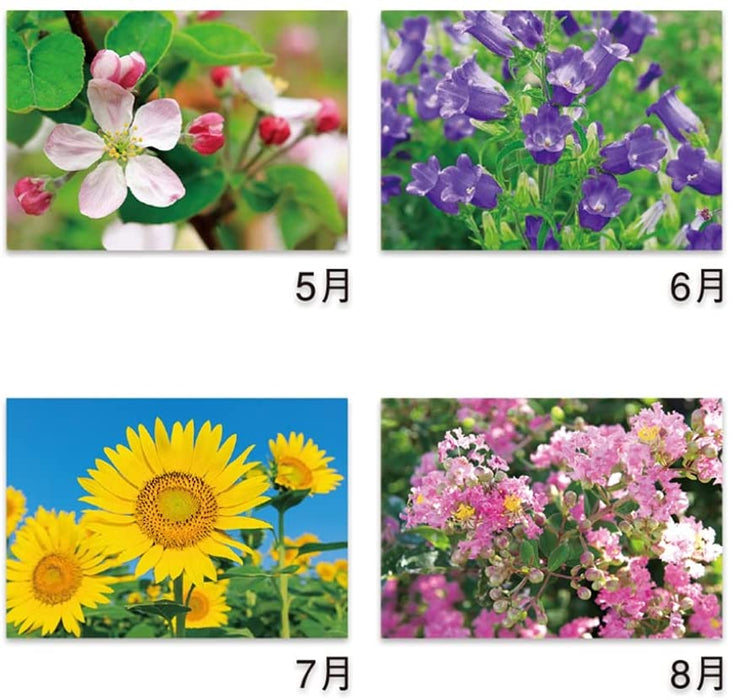 New Japan Calendar 2022 Wall Calendar Flower Language NK139