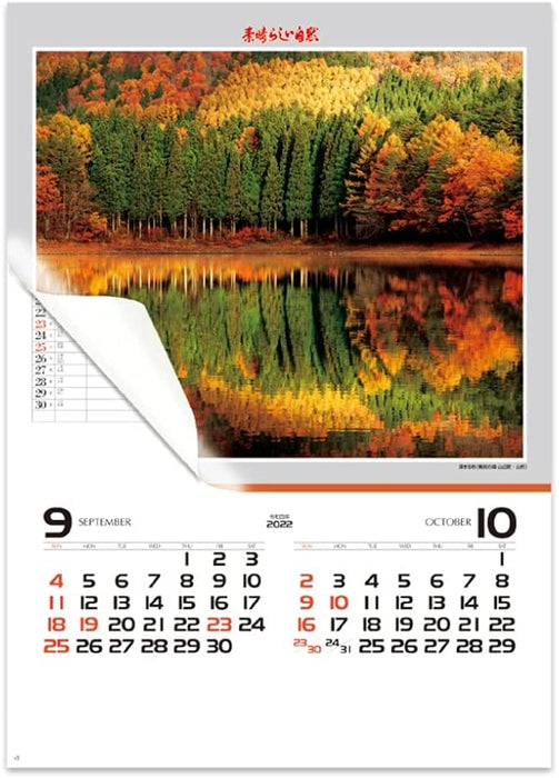 New Japan Calendar 2022 Wall Calendar Amazing Nature NK116