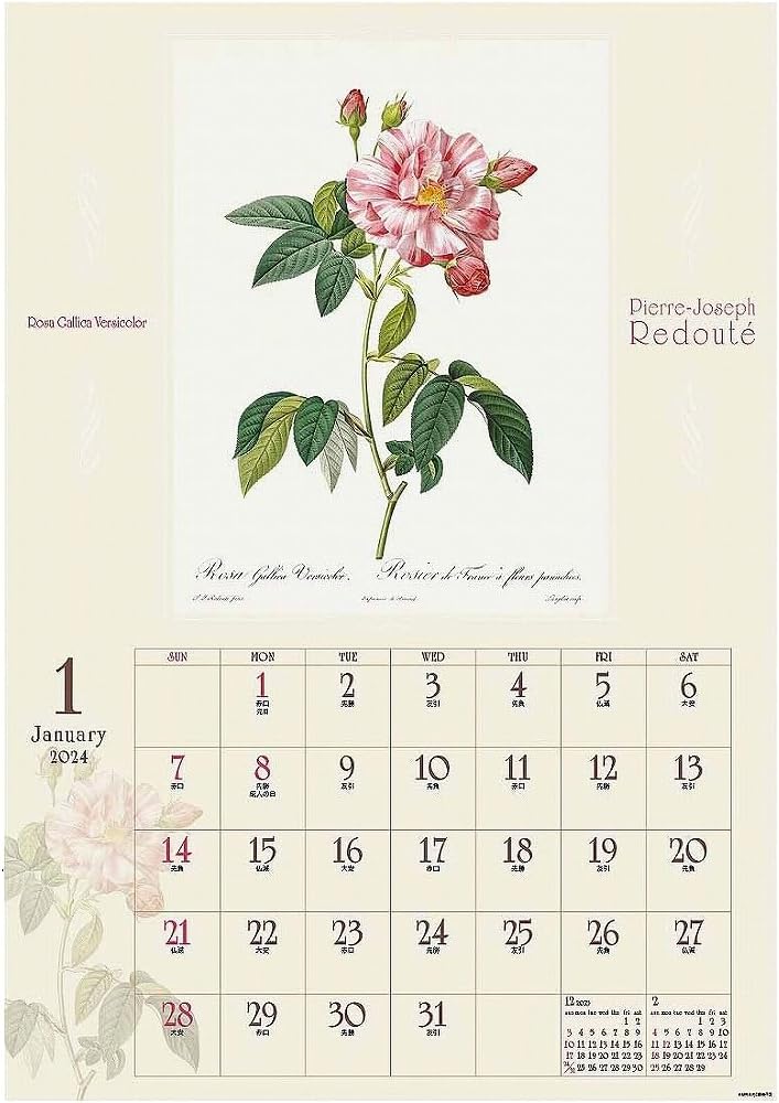 2024 RePierre-Joseph Redoute Wall Calendar No.082