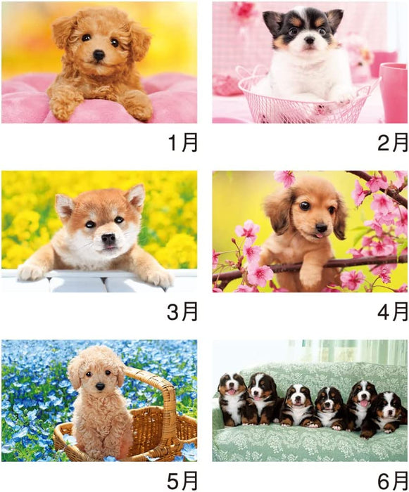 New Japan Calendar 2023 Wall Calendar Thank you! Dog NK454