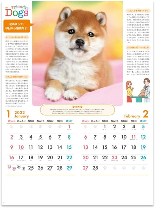 New Japan Calendar 2022 Wall Calendar Friendly Dogs NK24