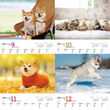 JTB Calendar Wanko 2024 Wall Calendar