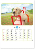 New Japan Calendar 2024 Wall Calendar Little Friends NK90