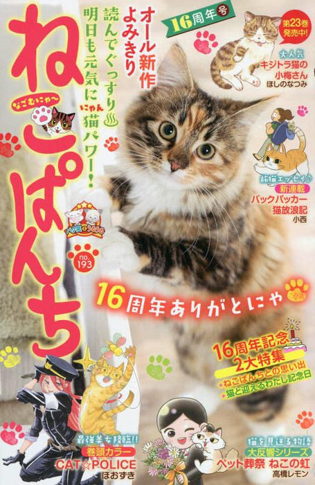 Neko Punch 16th Anniversary Edition