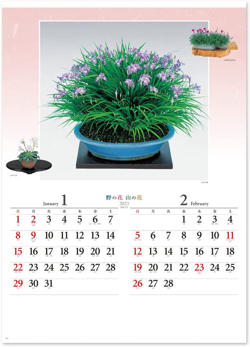 New Japan Calendar 2023 Wall Calendar Flower of Nature NK46