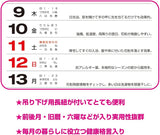 New Japan Calendar 2023 Wall Calendar Love Large with Long String NK189