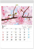 New Japan Calendar 2023 Wall Calendar Forever Japan NK142