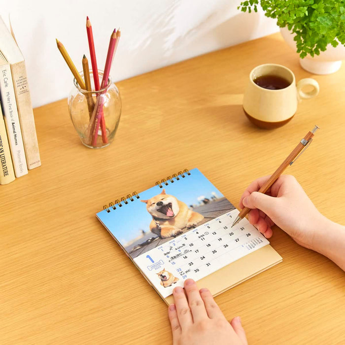 New Japan Calendar 2023 Desk Calendar Walk with Shiba Inu Maru CL23-0393 White