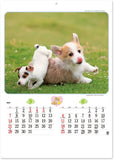 New Japan Calendar 2023 Wall Calendar Charming mate NK49