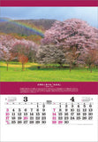 Todan 2024 Wall Calendar Miraculous Scenery: Inviting Good Fortune (Film) CL24-1080