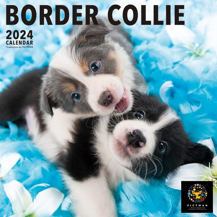 PICTWAN 2024 Calendar L Edition Border Collie L004