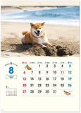 New Japan Calendar 2023 Wall Calendar Walk with Shiba Inu Maru Calendar NK35