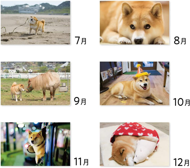 New Japan Calendar 2023 Wall Calendar Shiba Inu Maru NK8958