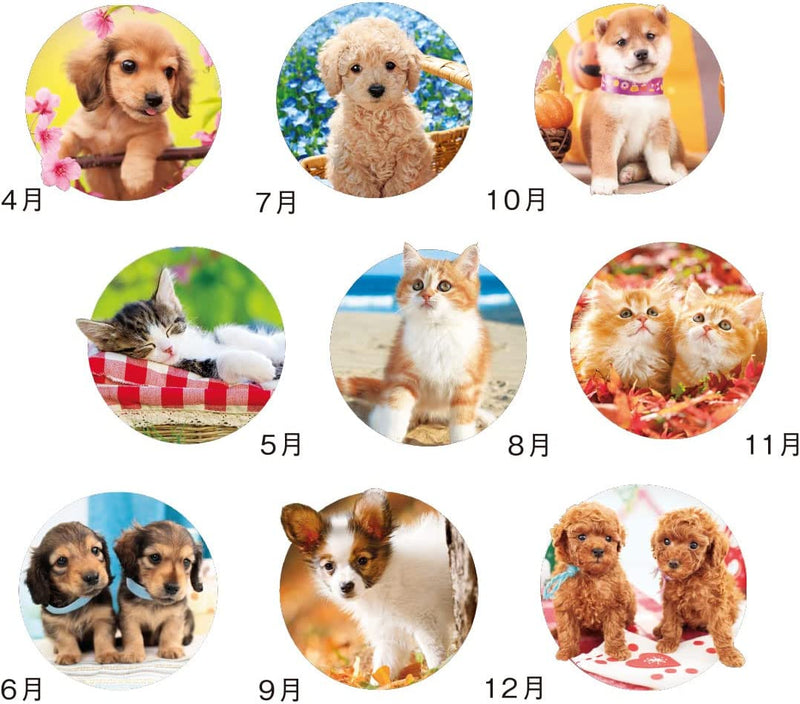 New Japan Calendar 2023 Wall Calendar Happy Chat Moji 3 Months Type NK914