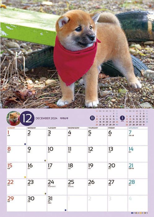 Try-X 2024 Wall Calendar Korokoro Mameshiba CL-381 51x36cm