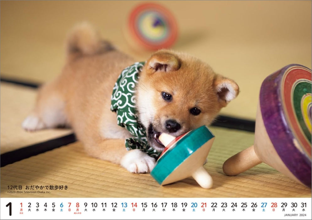 Hagoromo Mamesuke Selection 2024 Desk Calendar CL24-0391