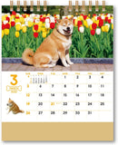 New Japan Calendar 2023 Desk Calendar Walk with Shiba Inu Maru CL23-0393 White