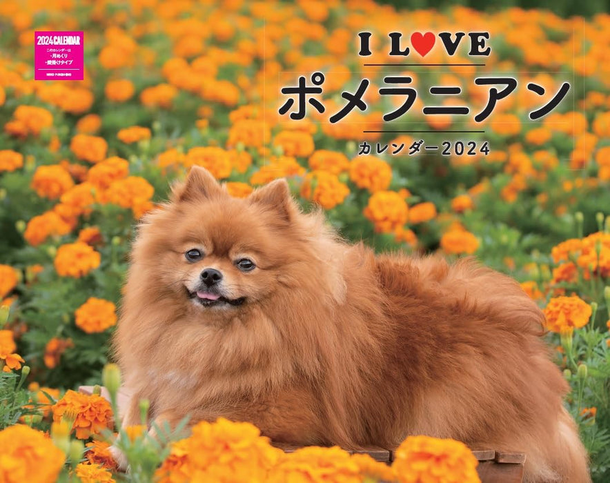 I LOVE Pomeranians Calendar 2024(Monthly/Wall Calendar)