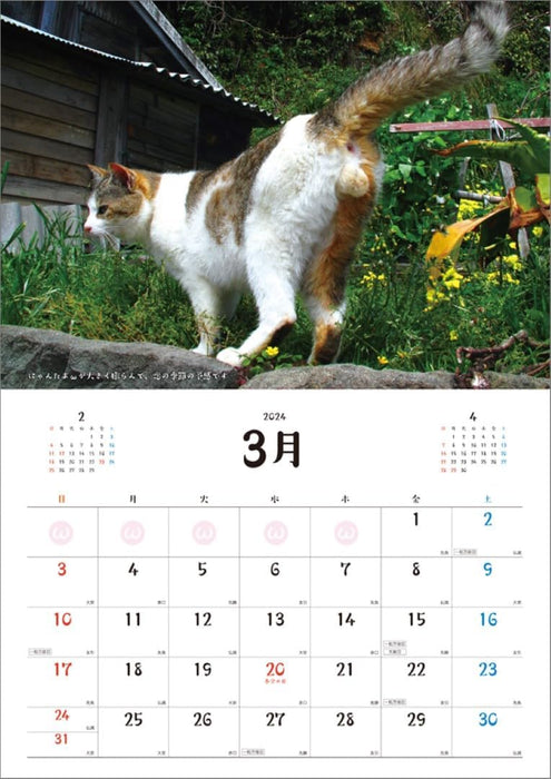 Hagoromo 2024 Wall Calendar Good Luck!! Nyantama CL24-0402