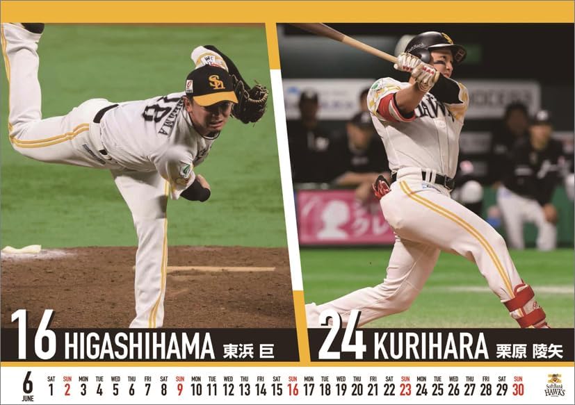 Hagoromo Fukuoka Softbank Hawks 2024 Desk Calendar CL24-0590