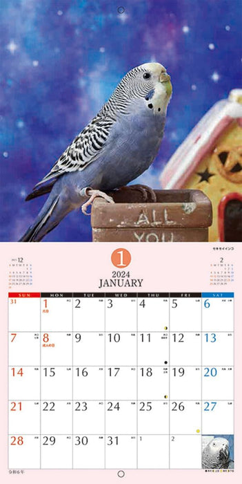 Try-X 2024 Wall Calendar Fluffy Parakeet CL-386 48x24cm