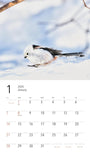 Yama-kei Calendar 2024 White Fairy Shimaenaga (Monthly/Wall Calendar)