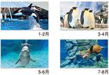 New Japan Calendar 2022 Wall Calendar Healing Aquarium NK928