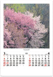 New Japan Calendar 2022 Wall Calendar Four Seasons Shinzo Maeda x Akira Maeda Work Collection NK407