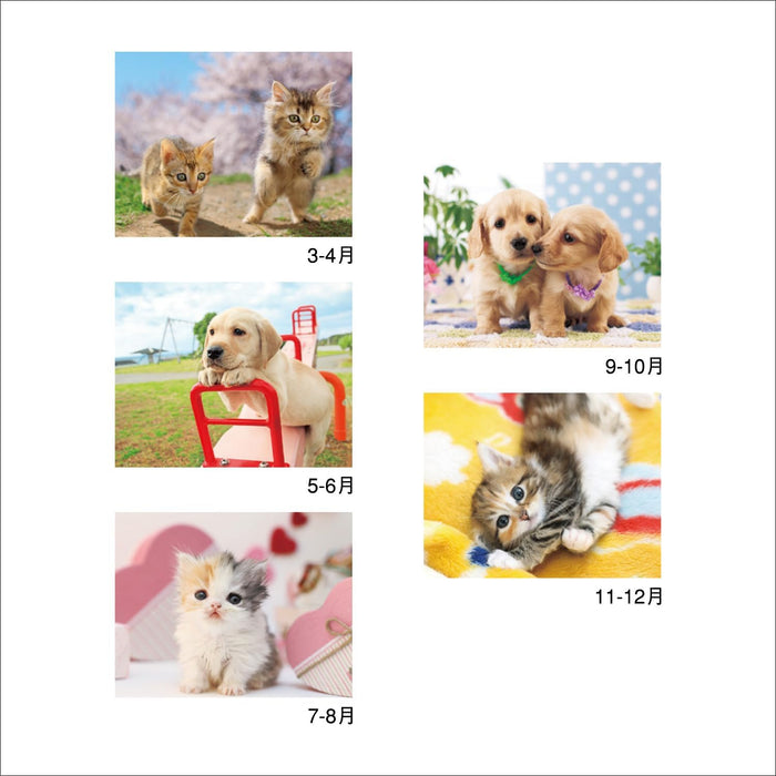 New Japan Calendar 2024 Wall Calendar Charming mate NK49