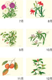 New Japan Calendar 2023 Wall Calendar Botanical Art NK64