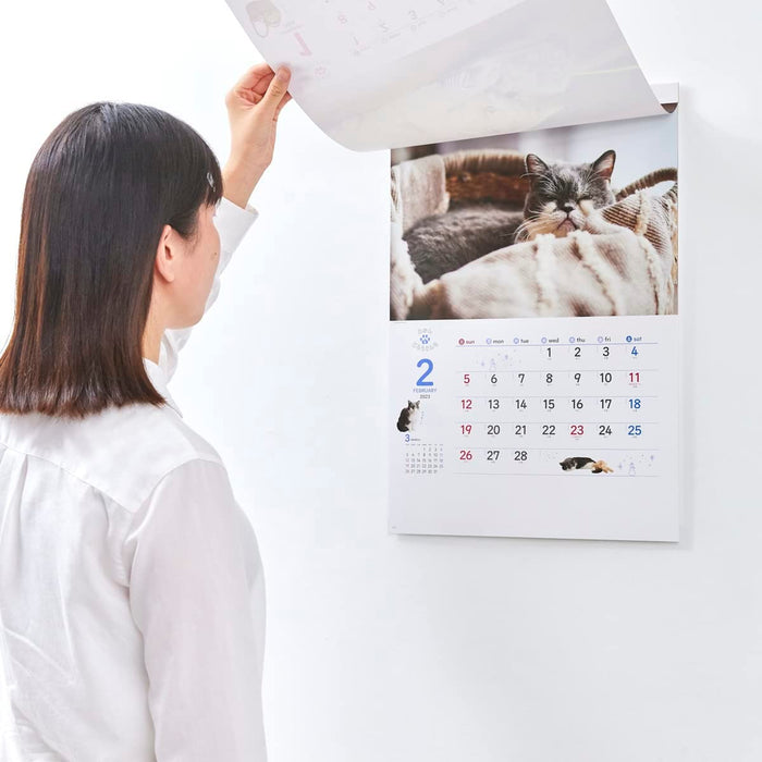 New Japan Calendar 2023 Wall Calendar Neko to Seikatsu Mikan to Jiro Sanchi Calendar NK33