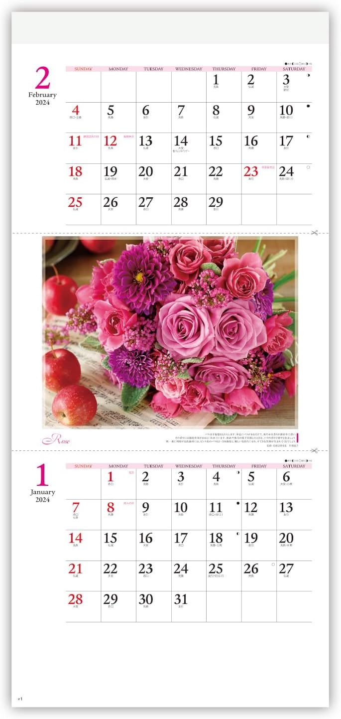 New Japan Calendar 2024 Wall Calendar Floral Healing Moji 2 Months Type NK903